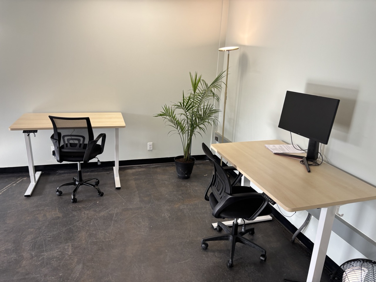 Dedicated sit-stand desks with ergonomic chairs and external monitors at Ren AI Lab